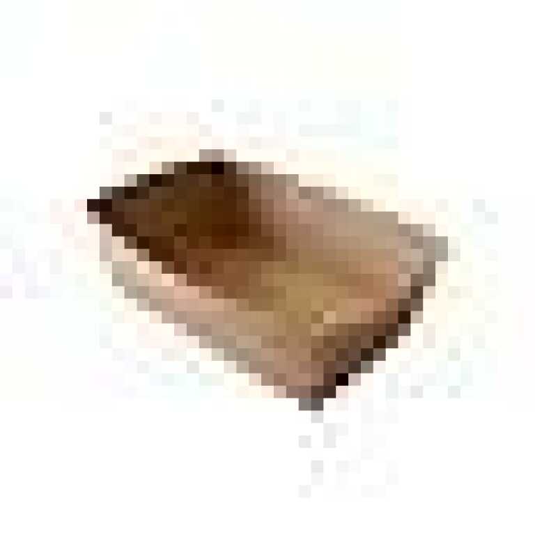 Ravier à frites carton 23x5xh3cm brun A16L