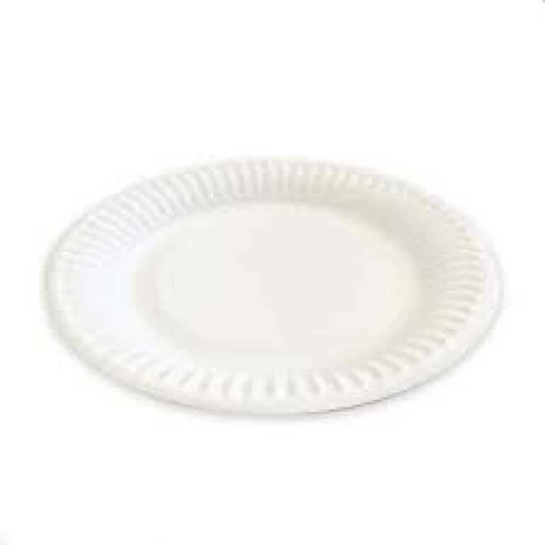 Assiette carton Ø18cm blanche