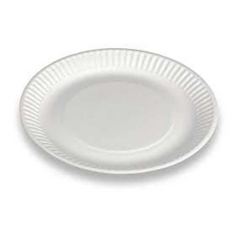 Assiette carton Ø23cm blanche